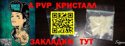 стаф Владикавказ
