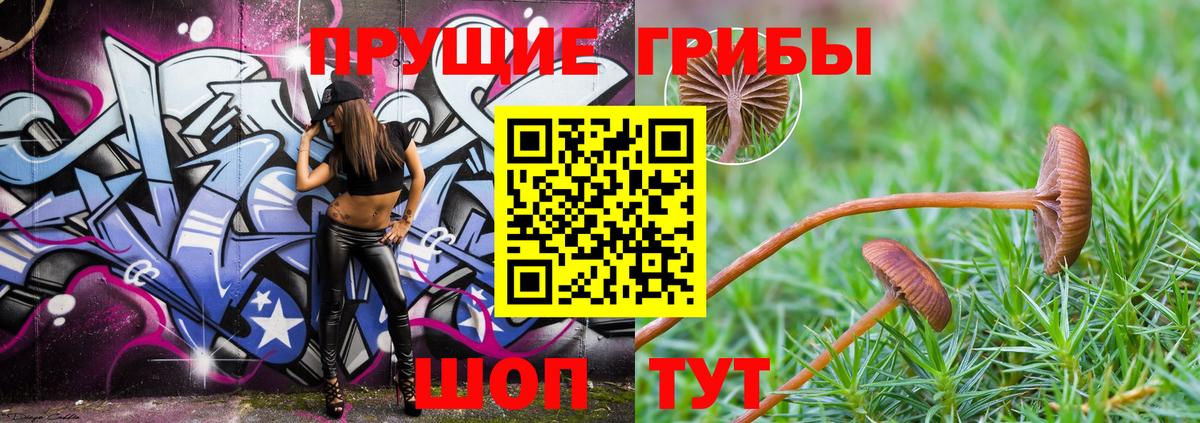 Галлюциногенные грибы Cubensis  Галлюциногенные грибы ЛСД  Вход с VPN  Владикавказ 